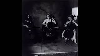 Rasputina - My Little Shirtwaist fire (demo)