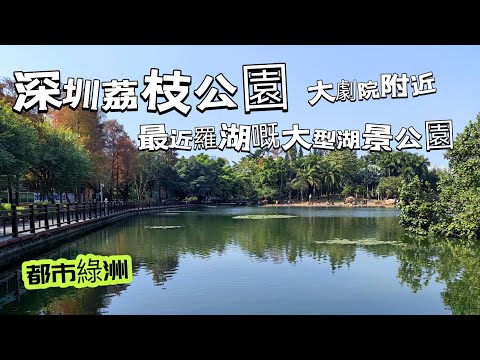 20250110 深圳荔枝公園，最近羅湖的湖景公園，原來咁靚，大劇院隔離，去深圳行商場時，一定要去行下，好有驚喜。