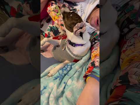 Princess Scrunchie