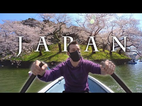 日本的一天 (One Day in Japan)