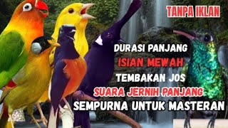 Download lagu MASTERAN MURAI BATU GACOR | FULL TEMBAKAN PANJANG 1 JAM — Paling Dicari 2025 mp3 Download lagu MASTERAN MURAI BATU GACOR | FULL TEMBAKAN PANJANG 1 JAM — Paling Dicari 2025 mp3