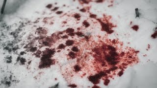 Avatar - When The Snow Lies Red (Lyrics)