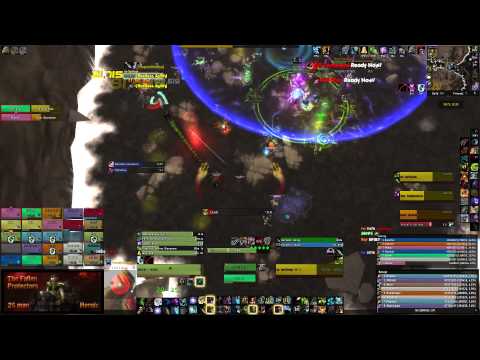 The Fallen Protectors 25 Man Heroic 5.4 (BM Hunter)