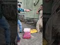 देखिए शूटिंग में गोली कैसे मारते हैं Sho
