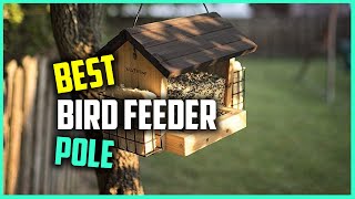 Top 7 Best Bird Feeders Pole in 2023 | Review and Buying Gui