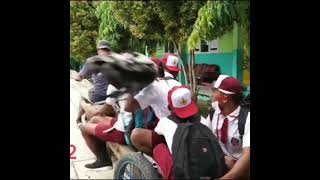 Download lagu Goblok anjing mp3 Download lagu Goblok anjing mp3