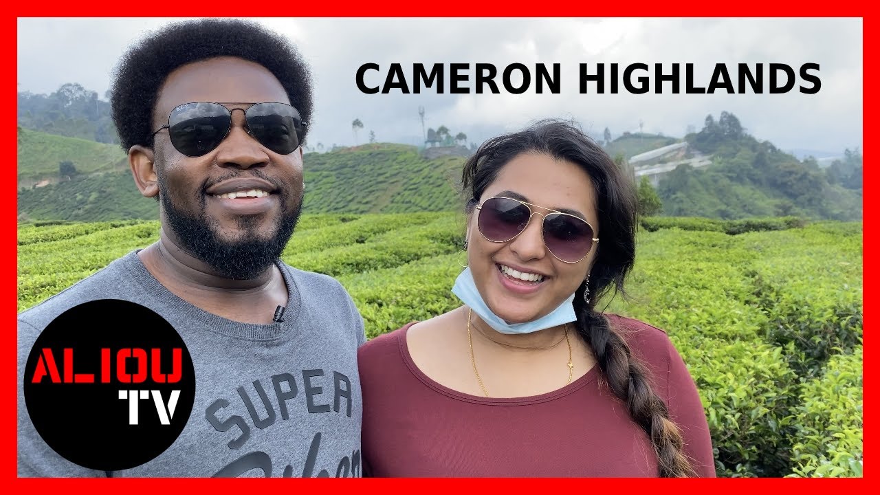 Cameron Highlands Malaysia: Cameron Highland Activities (2021) | AliouTV
