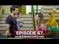 Dil Pe Zakham Khaye Hain Episode 67