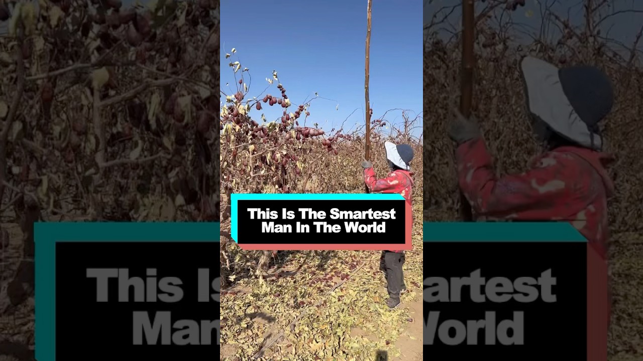 This Is The Smartest Man In The World #youtube #short #knowledge #food