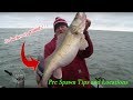 MONSTER Walleyes!!! - How to Jig and locate GIANT WALLEYES!!!