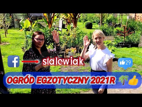 , title : '🌞 Ogród egzotyczny w Polsce. 🌴🌱 Pierwsze obejście w tym roku po ogrodzie. Ania, Jola i stalewiak'