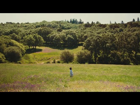 Paul Alone - Qué bonito es vivir (Video Oficial)