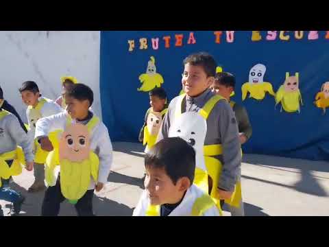 Mundialmente saludables