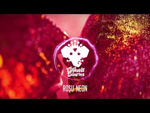 Les Elephants Bizarres - Rosu Neon (Official Audio)