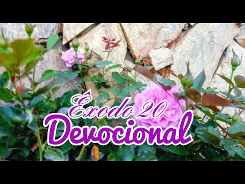 Êxodo 20 - devocional