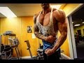 SHOULDER WORKOUT MOTIVATION! *Festival Prep*