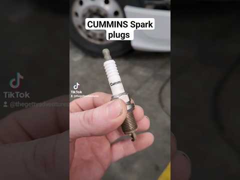 CUMMINS Diesel Engine SPARK PLUGS -What Engine do they come from ?