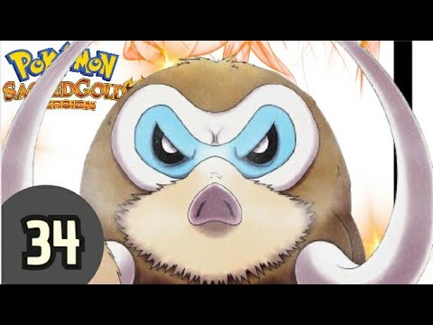 !!!A SIDO UN PLACER ESTAR AQUI!!!|pokemon oro sagrado ep.34|veloxtrice