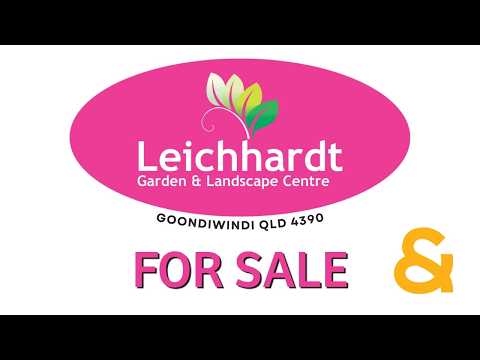 361 Polo Road, Goondiwindi, QLD 4390, 4房, 1浴, House