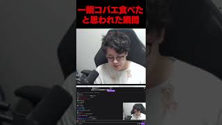 一瞬コバエを食べたと思われた瞬間 #よしなま