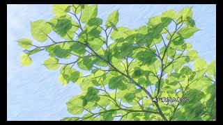 いのちの名前　covered by 香坂ゆう