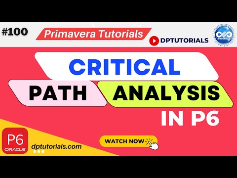 How To Do Critical Path Analysis In Primavera P6