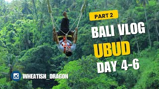 Exploring Ubud | Bali Vlog Part 2| Travel Vlog In Hindi/English