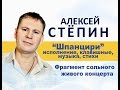 Алексей Стёпин (Alexey Stepin) - Шпанцири (live) 