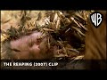Attacked By Wasps The Reaping 2007 Warner Bros UK