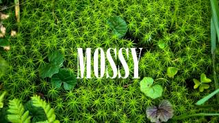 Lone - Airglow Fires