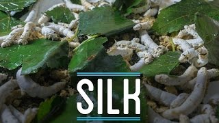 Silk from Scratch | How To Make Everything: Suit (6/10)