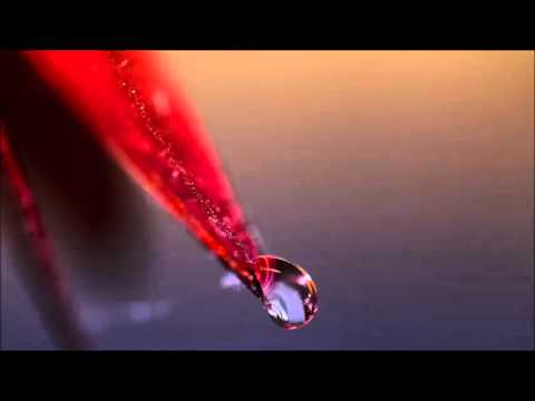 Agustin Basulto: Cheapoon (Original Mix)