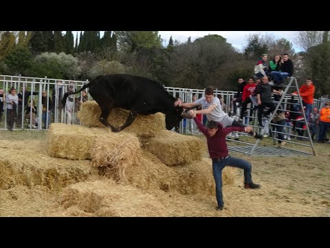 AUBAIS COURSE AU PLAN 11/03/23