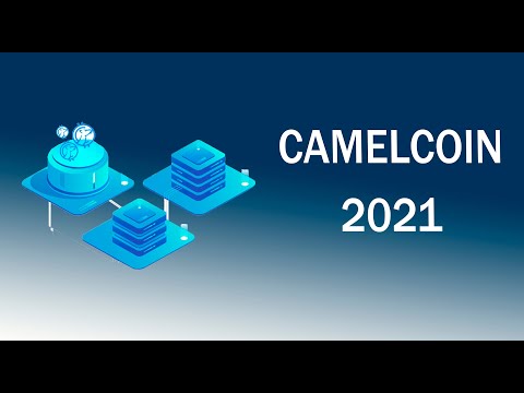 Как заработать в интернете в 2021 году с новым токеном от CAMEL COIN. Деньги в интернете
