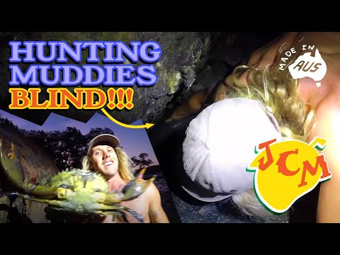 Catching Big MUDDIES!!! - Mudcrab Catch n Cook