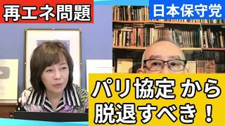 【日本保守党】再エネに補助金出すな！
