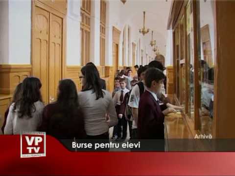 Burse pentru elevi