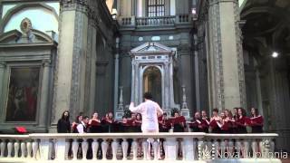 "Who wants to live forever" by Nova Euphonia LIVE