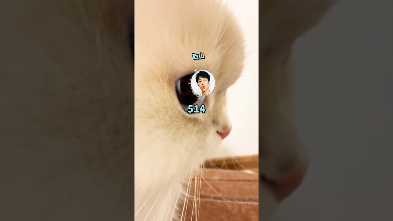 【スカッと】「子供のくせに生意気だぞ！」謙虚さを忘れた担任の末路w