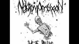 Nekromantheon - we are rotting