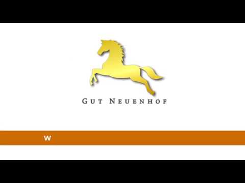 Junghengst Cristallo I-Contender-Lorenz