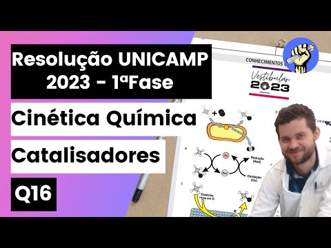 ✏️UNICAMP 2023 | Com o objetivo de mitigar problemas ambientais e encontrar alternativas viáveis