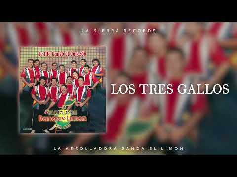 La Arrolladora Banda El Limon - Los Tres Gallos