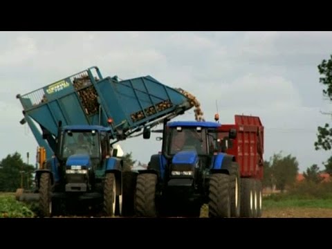 Socker - en lyxvara - Hela Sverige Bakar (TV4)