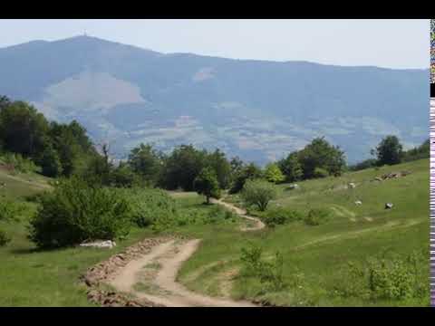 Paun Ilic - Deli Jovansko kolo