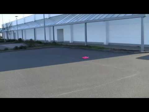 RC Die Schönebecker Fighter und die Pink Lady