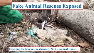 Fake Animal Rescues Exposed. Exposing the fake rescue channels 2. Animal House