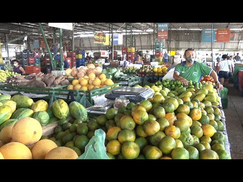 Preços de verduras, frutas e legumes aumentam na Nova Ceasa, seguindo reajustes  11 12 2021