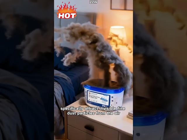 Vídeo relacionado con Box Mágica De Eliminación De Polvo De Purificación De Aire Interior, 2 Piezas Herramienta De Plantas De Aire Domésticas De 120g, Colector De Dust Automático, Purificador De Air Multifuncional