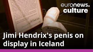 Cast of Jimi Hendrix's penis goes on show in Iceland